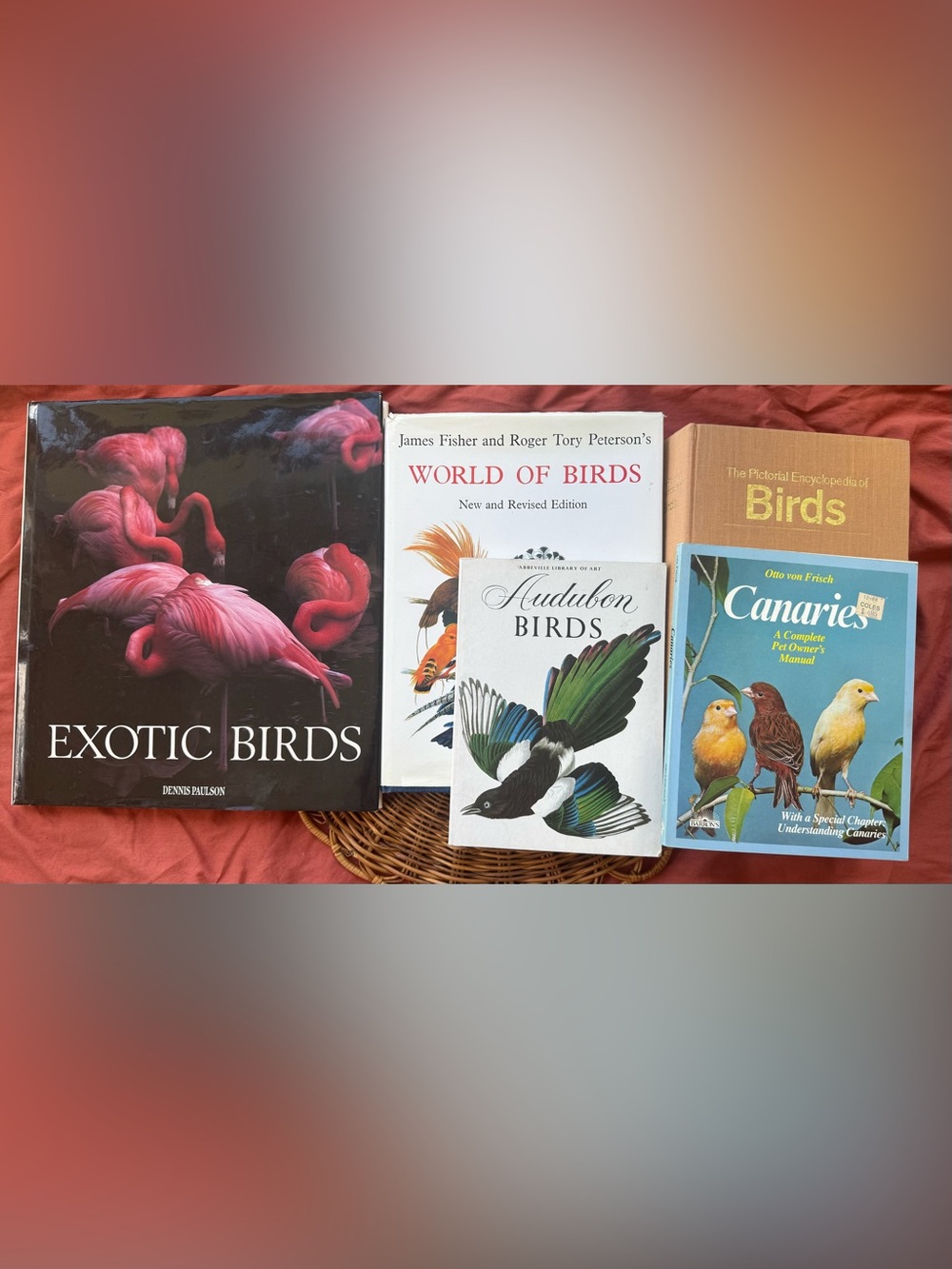 🦆Vintage Bird Book Lot - Cottage Core Books - Hardcover Books